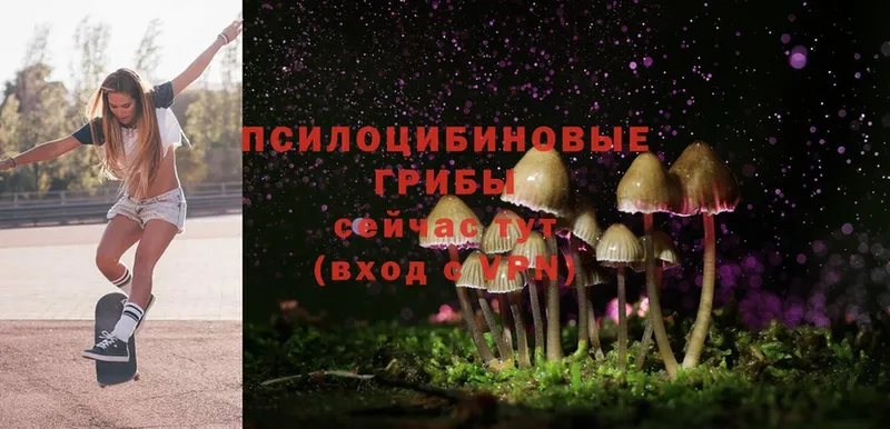 Галлюциногенные грибы Magic Shrooms  купить   Новоуральск 